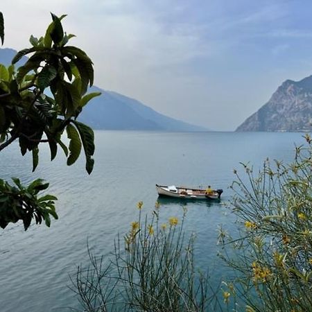 شقة Alloggio Turistico Molu Gavazzo Nuova المظهر الخارجي الصورة